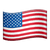 USA Flag